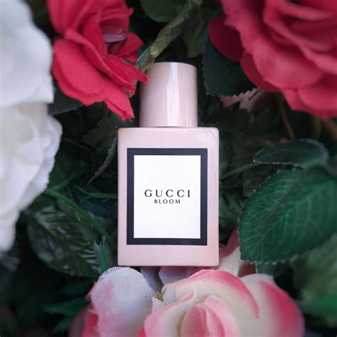 gucci bloom profumo trova prezzo|gucci bloom perfume knock off.